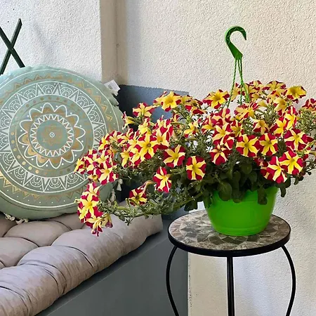 Mini Luxe Retreat * Volos